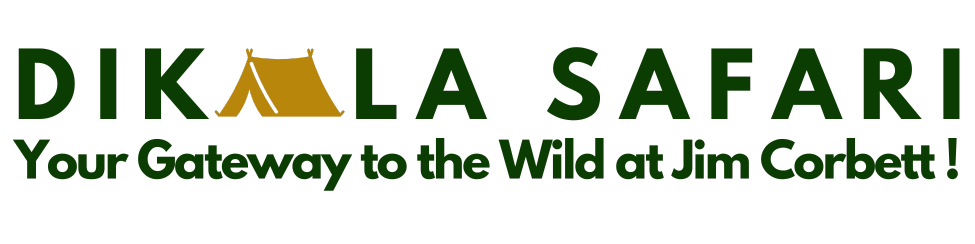 Dhikala Safari